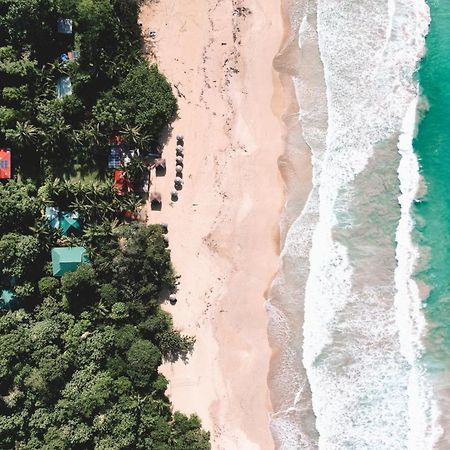 Palmar Beach Lodge Bocas Town Dış mekan fotoğraf