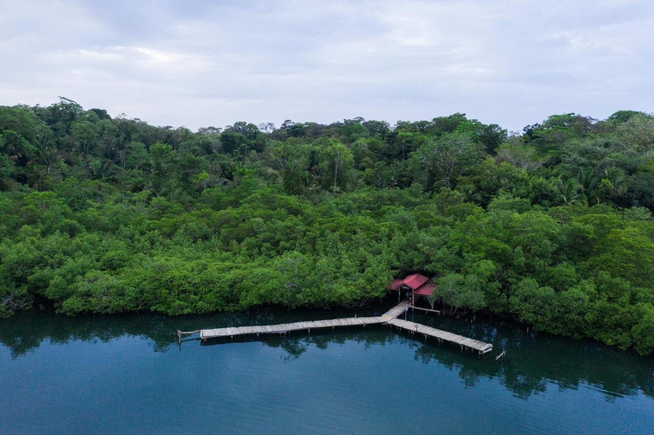 Palmar Beach Lodge Bocas Town Dış mekan fotoğraf